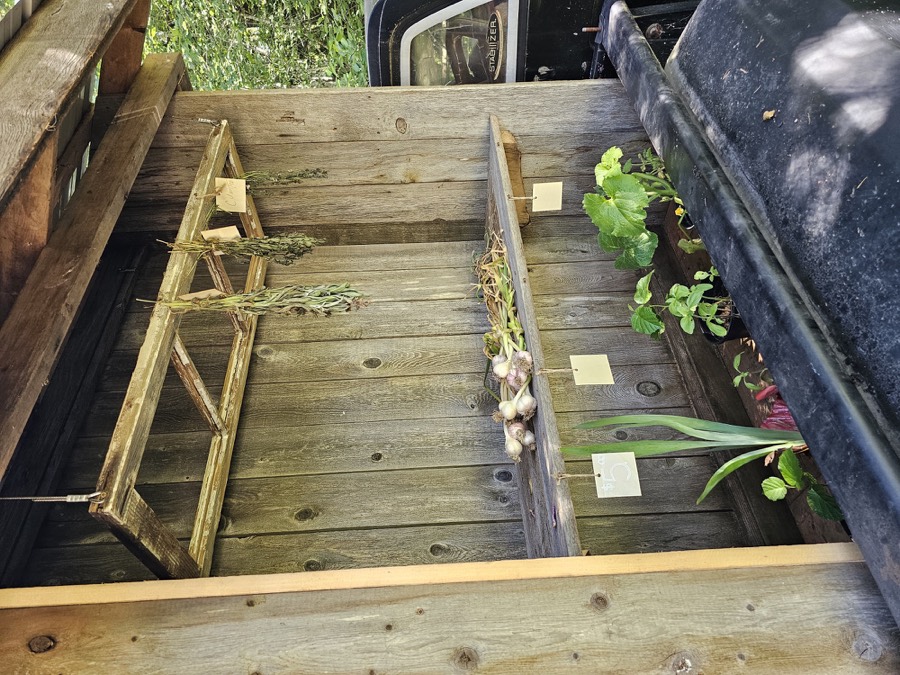 Herbs and plants for sale at a farm stand