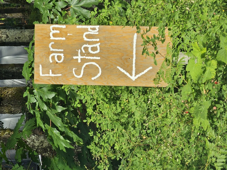 A farm stand sign among trees