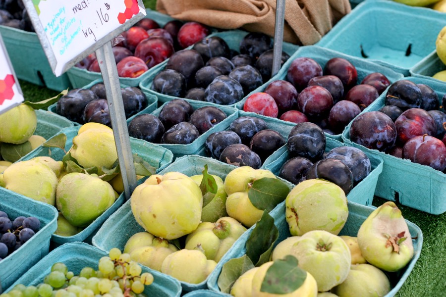 Cases of fruit displayed on a table